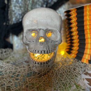 Real Looking Ceramic Skull for Halloween